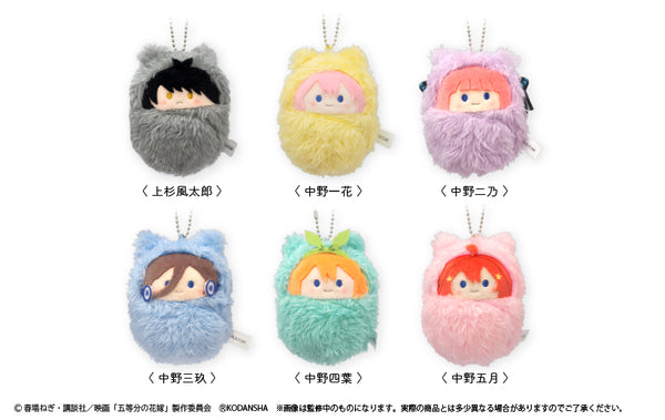 『映画 五等分の花嫁』くるみたぴぬい BOX