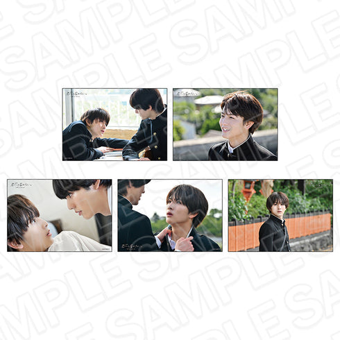 ドラマストリーム『君には届かない。』 ブロマイドセット カケルセット