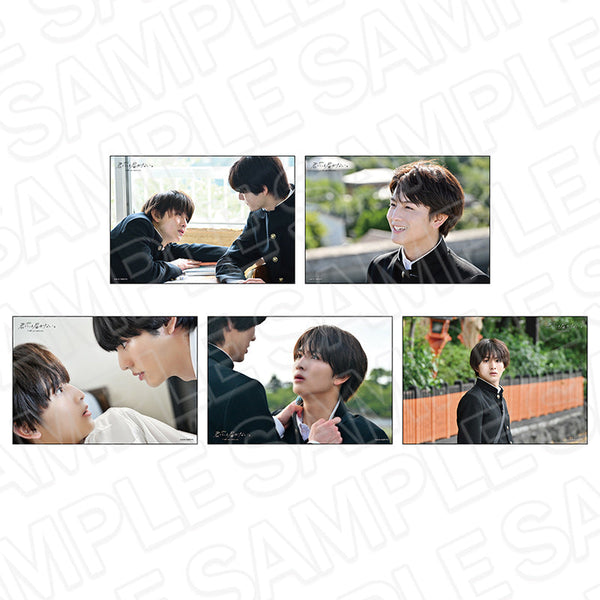 ドラマストリーム『君には届かない。』 ブロマイドセット カケルセット