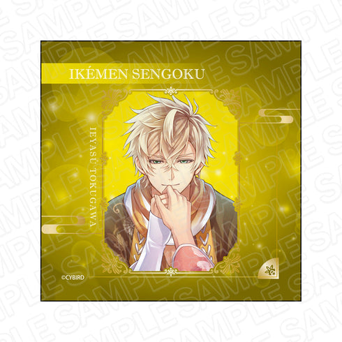 『イケメン戦国◆時をかける恋』 マイクロファイバー 徳川家康 2024 Winter ver.