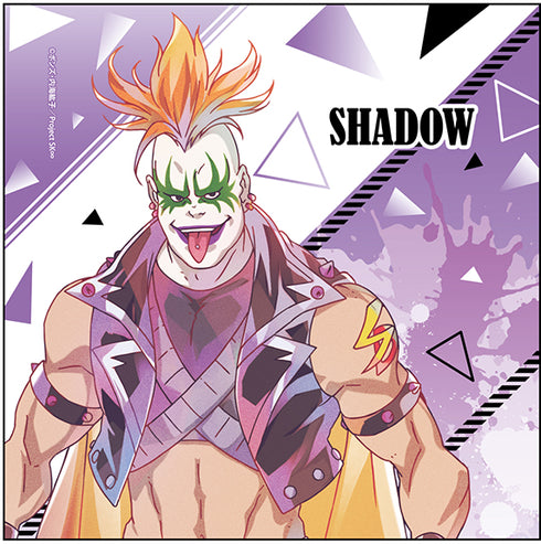 「SK∞ エスケーエイト」マイクロファイバー PALE TONE series シャドウ