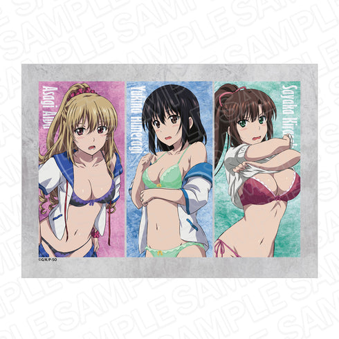 『ストライク・ザ・ブラッドFINAL』ブランケット お着替え ver.