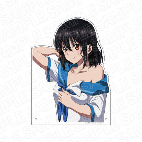 『ストライク・ザ・ブラッドFINAL』特大ダイカットアクリルボード 姫柊 雪菜 vol.2