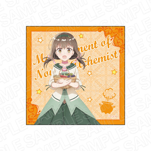 『新米錬金術師の店舗経営』マイクロファイバー ロレア