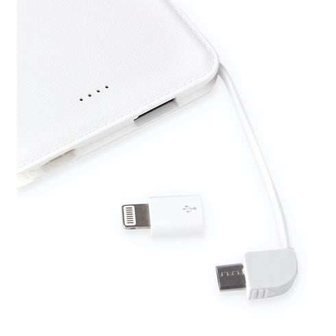"The Witch's Travels" Irena - Ani-Art aqua label Mobile Battery