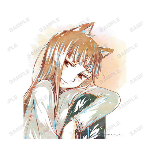『狼と香辛料』ホロ 3巻表紙イラスト Ani-Art キャンバスボード