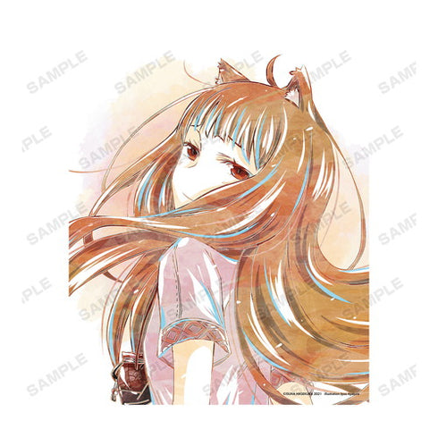 『狼と香辛料』ホロ 15巻表紙イラスト Ani-Art キャンバスボード