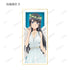 "A Certain Youthful Pig-Boy Doesn't Dream of a Bunny Girl Senpai" Original Illustration: Halloween 2022 Ver. Color Print Box with Trading Stand