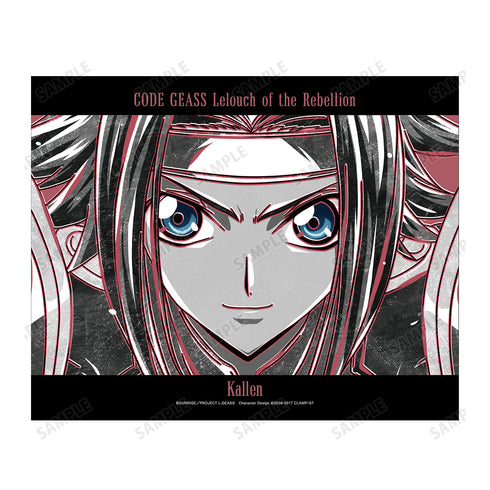 『コードギアス 反逆のルルーシュ』カレン Ani-Art BLACK LABEL キャンバスボード