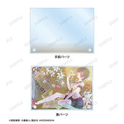 『化物語』神原駿河 特装版4巻表紙イラスト ダブルアクリルパネル