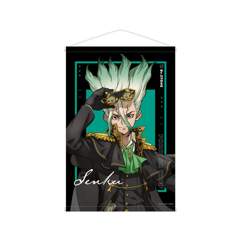 《Dr.STONE》全新绘制插画 石神千空 怪盗团版 B2挂毯