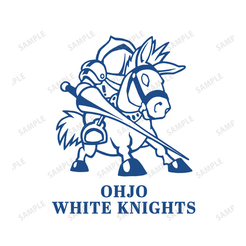 『アイシールド21』SIGGコラボ 王城ホワイトナイツ トラベラーボトル