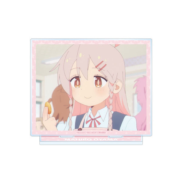 『お兄ちゃんはおしまい!』 緒山まひろ A 場面写BIGアクリルスタンド