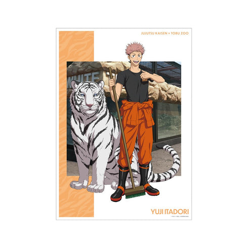 『呪術廻戦』 東武動物公園コラボ 描き下ろしイラスト 虎杖悠仁 飼育係ver. A3マット加工ポスター