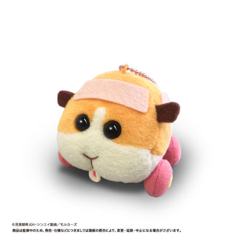 『PUI PUI モルカー』もちころりん ぬいぐるみマスコットVol.1 BOX