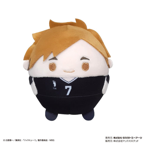 『ハイキュー!!』ふわコロりん BOX