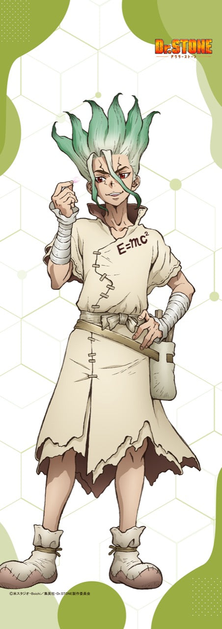 『Dr.STONE』【描き下ろし】ミニタペストリー 石神千空(桜)