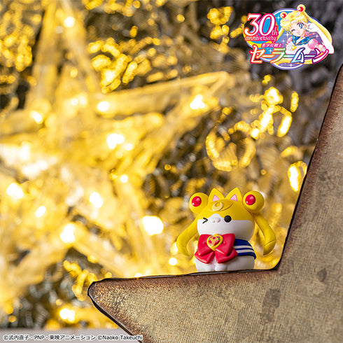 『美少女戦士セーラームーン』MEGA CAT PROJECT セーニャームーン 月にかわっておしおきニャ!2 BOX