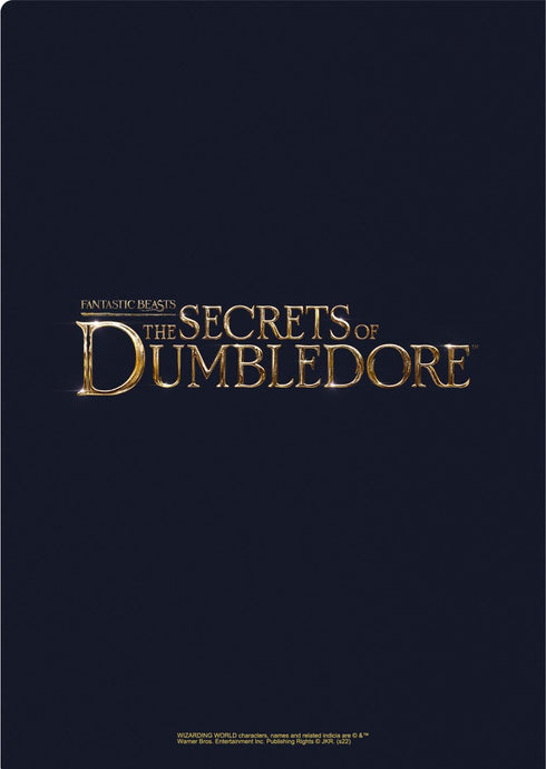 『ファンタスティック・ビースト』クリアファイルセット Dumbledore&Grindelwald