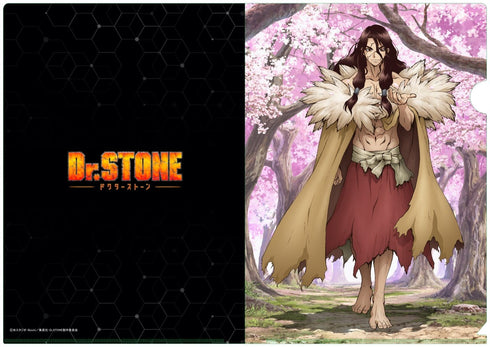 『Dr.STONE』【描き下ろし】A4クリアファイル 獅子王司(桜)