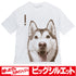 『ハマジ』シャンテ ビッグシルエットTシャツ