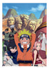 『NARUTO-ナルト-』豪華設定資料集セット