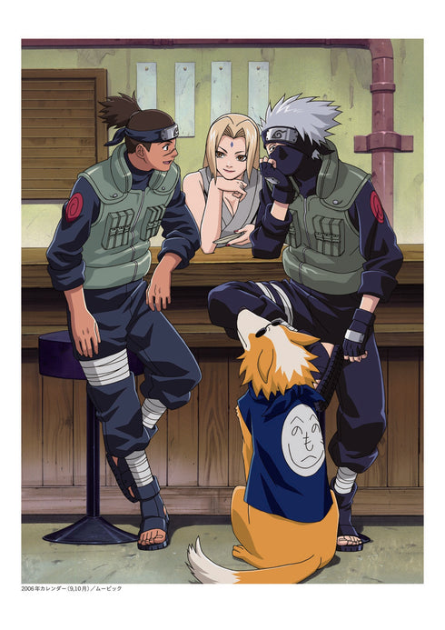 『NARUTO-ナルト-』豪華設定資料集セット