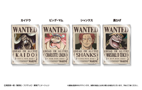 『ワンピース ONE PIECE』アクリル手配書 マグネットVol.2 カイドウ