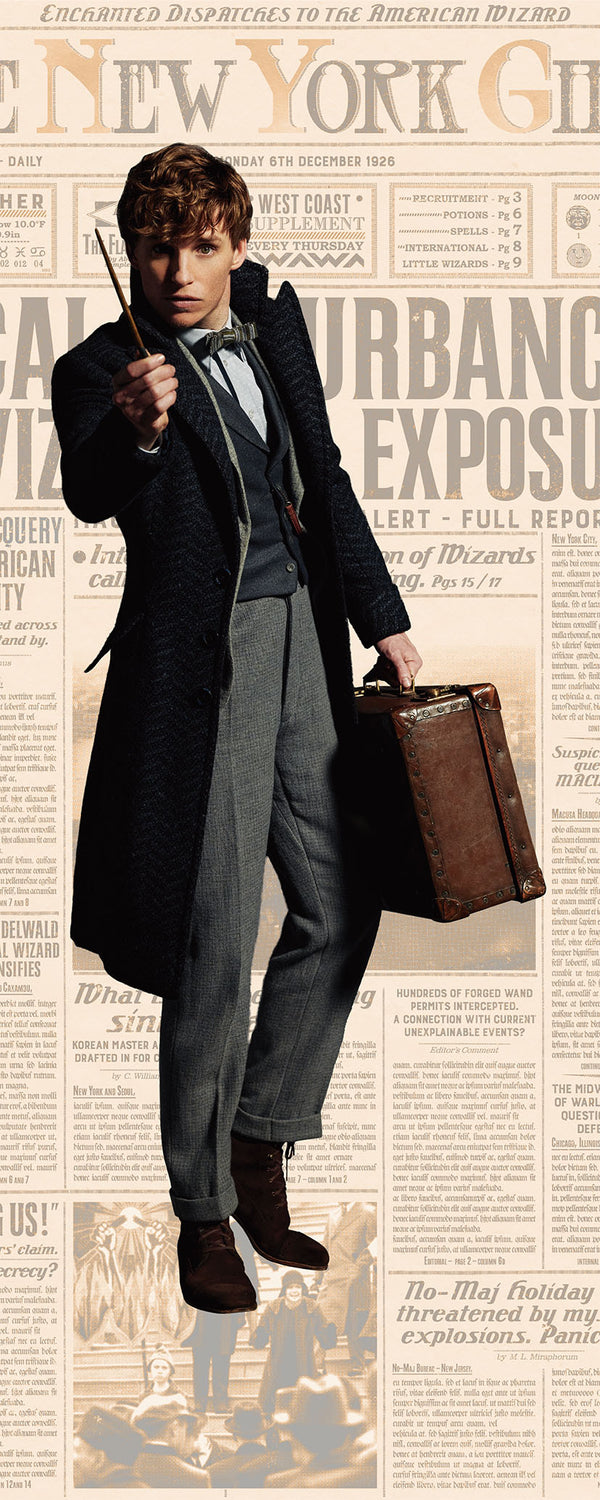 『ファンタスティック・ビースト』クッション/Newt Scamander&Theseus Scamander