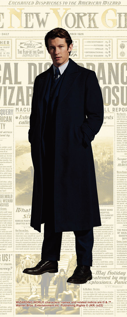 『ファンタスティック・ビースト』クッション/Newt Scamander&Theseus Scamander