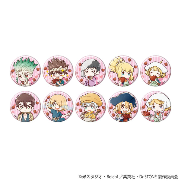 『Dr.STONE』缶バッジ 23/バレンタインver. ブラインド(全10種)(グラフアートイラスト)