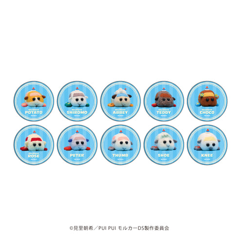『PUI PUI モルカー DRIVING SCHOOL』缶バッジ 01 (全10種)(公式イラスト) BOX