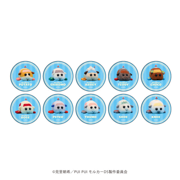 『PUI PUI モルカー DRIVING SCHOOL』缶バッジ 01 (全10種)(公式イラスト) BOX