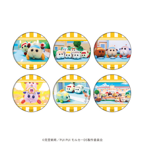 『PUI PUI モルカー DRIVING SCHOOL』缶バッジ 03/BOX (全6種)(場面写イラスト)