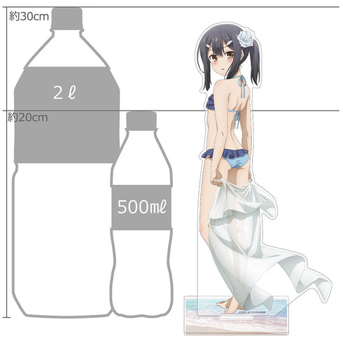 『劇場版 Fate/kaleid liner プリズマ☆イリヤ Licht 名前の無い少女』描き下ろし特大アクリルスタンド(美遊/水着)