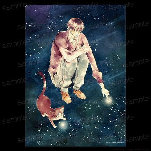 『同居人はひざ、時々、頭のうえ。』A4クリアファイル【星】