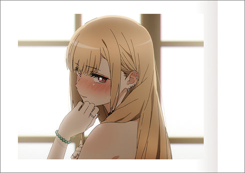 『その着せ替え人形は恋をする』ぱしゃこれ BOX
