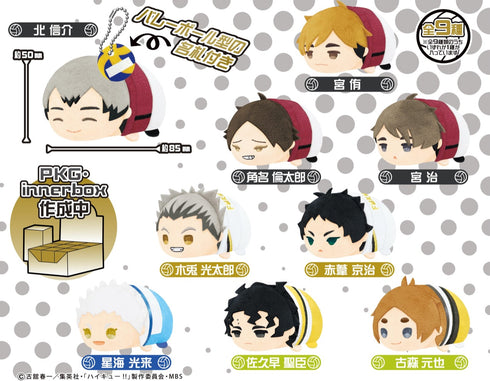 『ハイキュー!!』もちもちマスコット vol.5 BOX