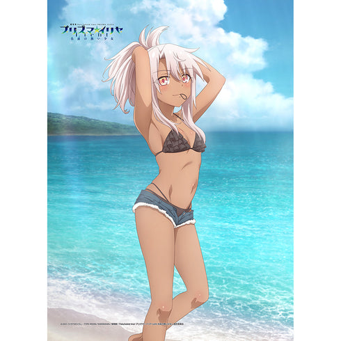 『劇場版 Fate/kaleid liner プリズマ☆イリヤ Licht 名前の無い少女』描き下ろしB2タペストリー(クロエ/水着)Wスエード