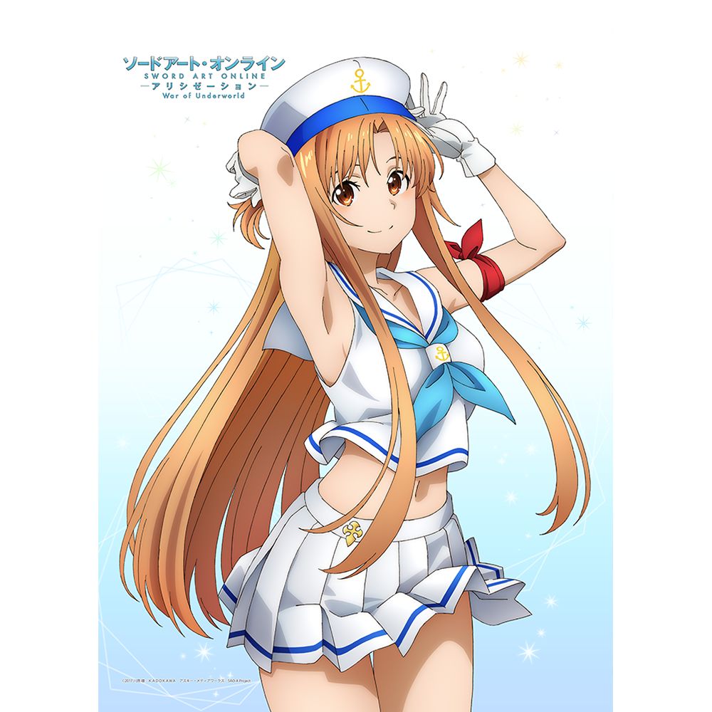 SAO アスナ アリス B2タペストリー C98 水着煌めく乙女 | pybli.com.my