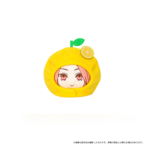 『東京リベンジャーズ』あにずきん(ぬいぐるみマスコット)/第4弾 BOX