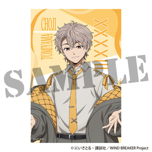 『WIND BREAKER』Postcard Set with Case - Mode Ruban ver.