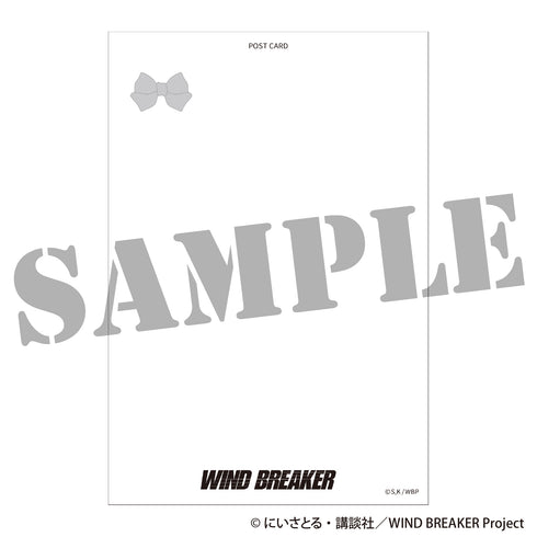 『WIND BREAKER』Postcard Set with Case - Mode Ruban ver.