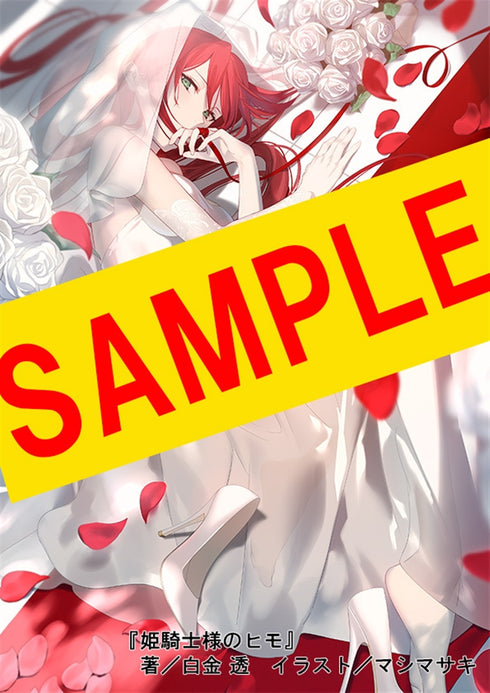 Dengeki Bunko 30th Anniversary Official Pirate Book Dengeki Widing!