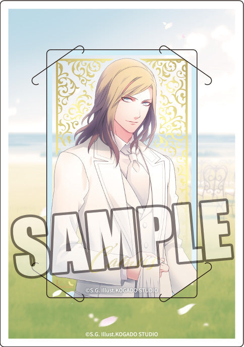 『うたの☆プリンスさまっ♪』カスタマイズビジュアルカードコレクション カルテットアイドルソングVer.【BOX】