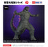 『ゴジラシリーズ』東宝大怪獣シリーズ GODZILLA (2024) EVOLVED Ver. FROM GODZILLA × KONG: THE NEW EMPIRE