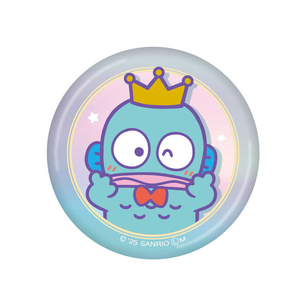 『サンリオ』ハンギョドン シークレットオーロラ缶バッジ ハンギョドン40周年【BOX】