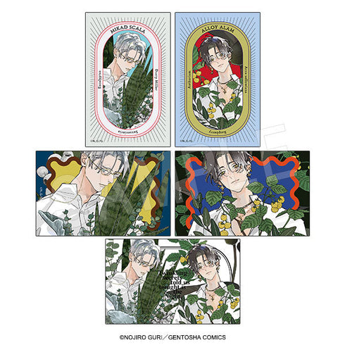 『金銀ささめくひみつは夜』トレーディングイラストカード garden Ver.【BOX】