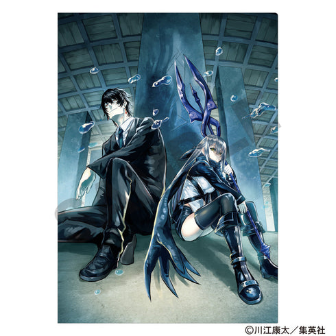 『鵺の陰陽師』シングルクリアファイル 藤乃代葉&狂骨