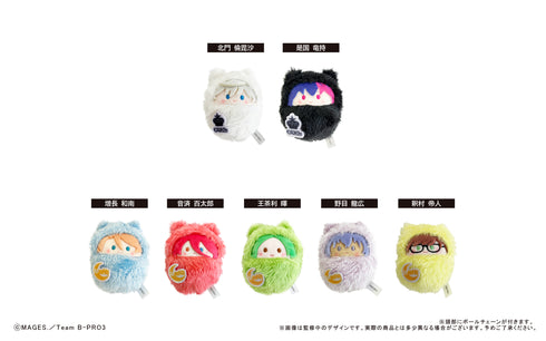 『B-PROJECT ~熱烈*ラブコール~』 くるみたぴぬいvol.1 BOX